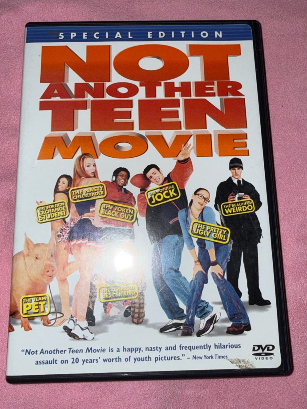 Not Another Teen Movie DVD